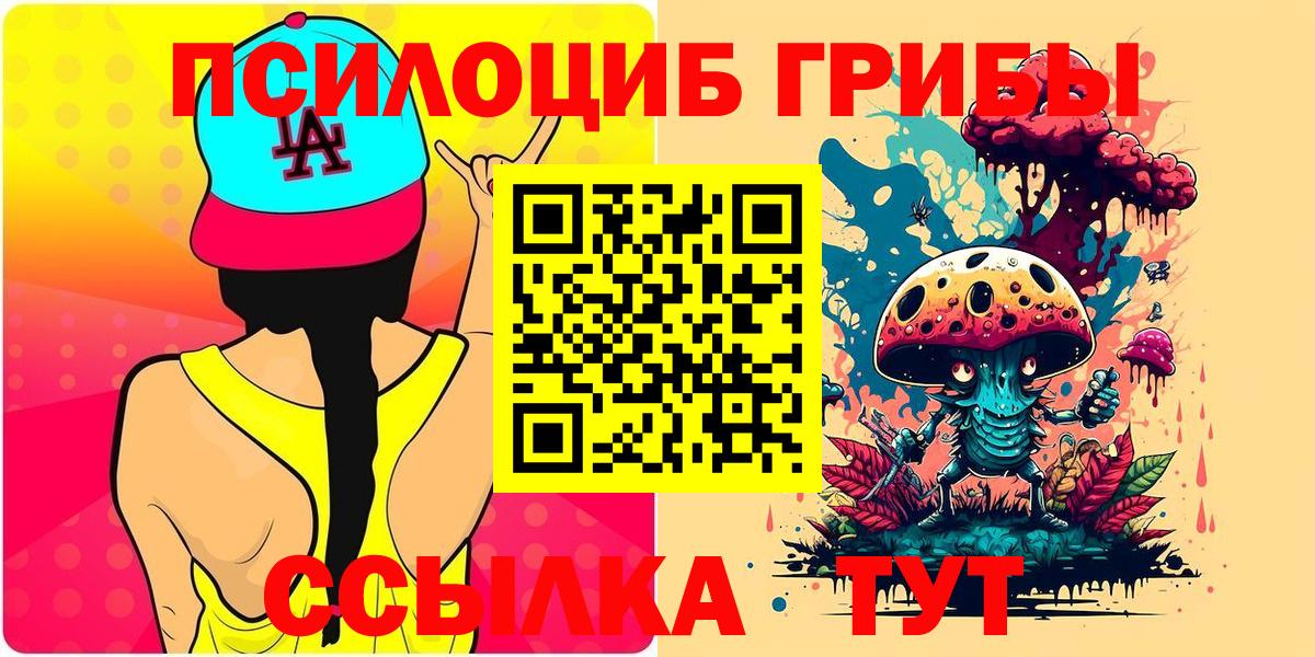Псилоцибиновые грибы GOLDEN TEACHER  Вход с VPN  Тула  где продают   Псилоцибиновые грибы Magic Shrooms 