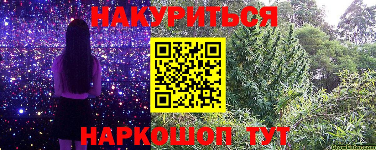 Тула  Бошки Шишки планчик  Вход с VPN  Конопля планчик 